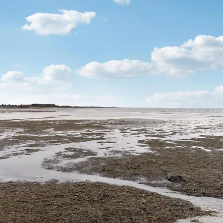 Stunning In With Wifi *